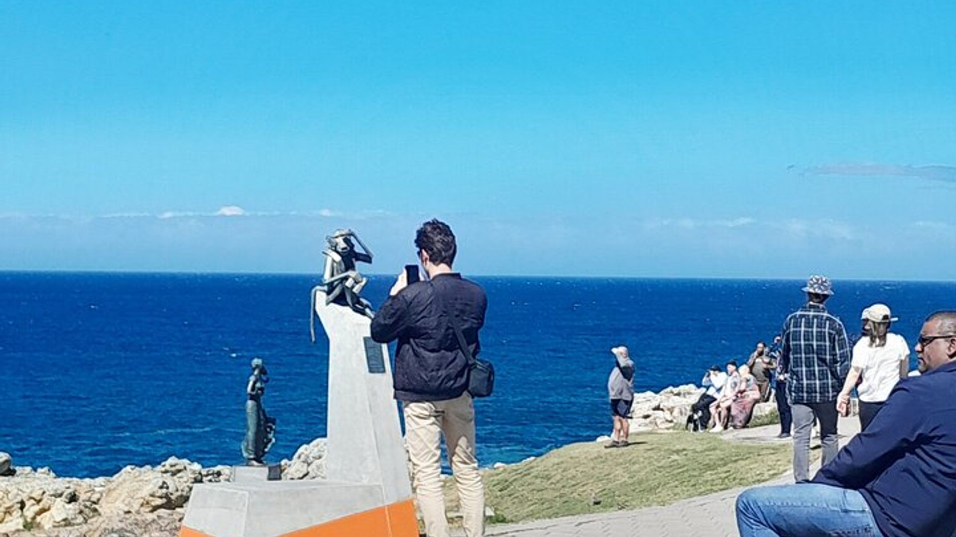 Actividad privada de avistamiento de ballenas guiadas en Ciudad del Cabo
