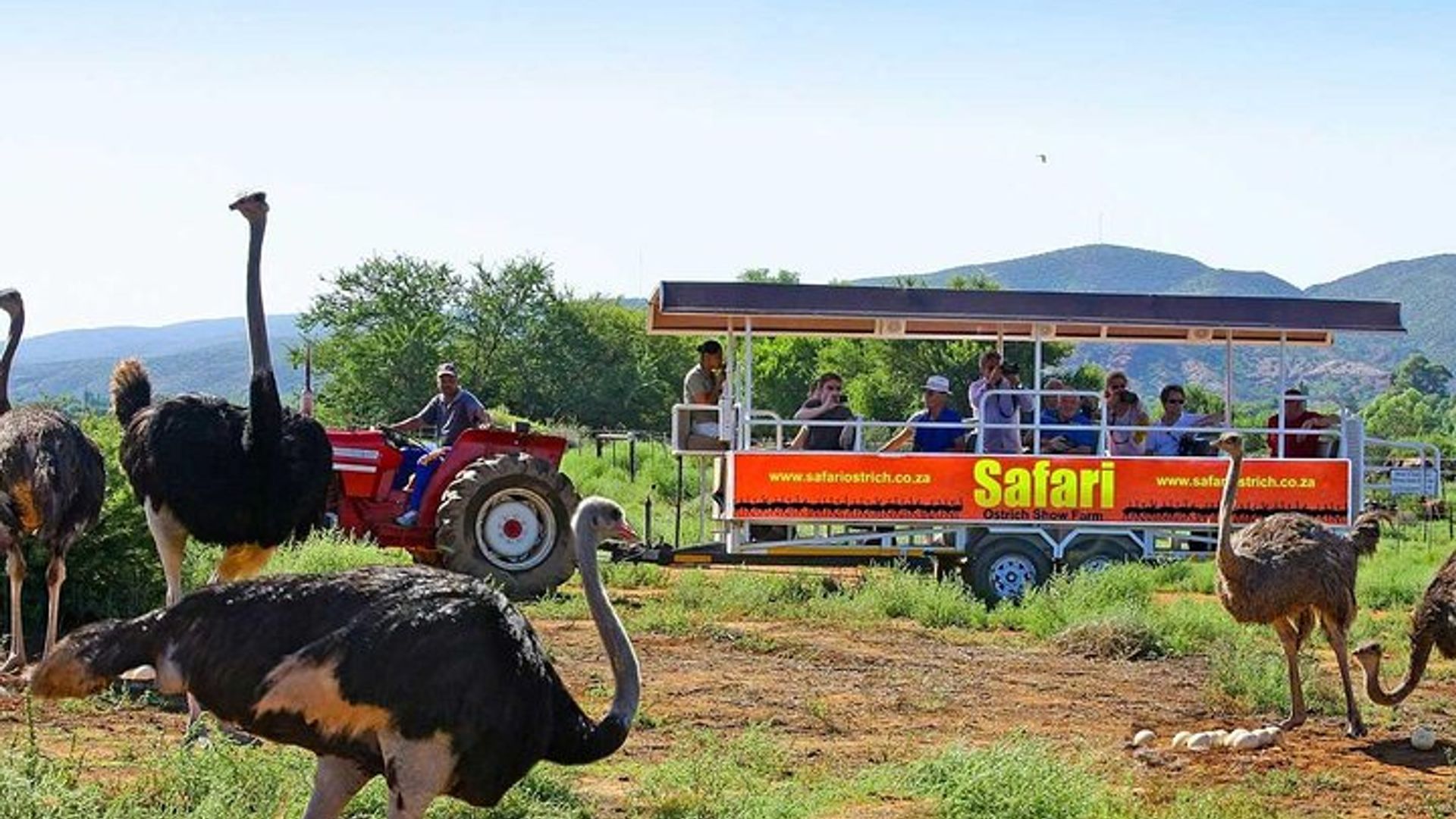 Tour privado de 3 días por la ruta de los jardines de Ciudad del Cabo con coche y conductor
