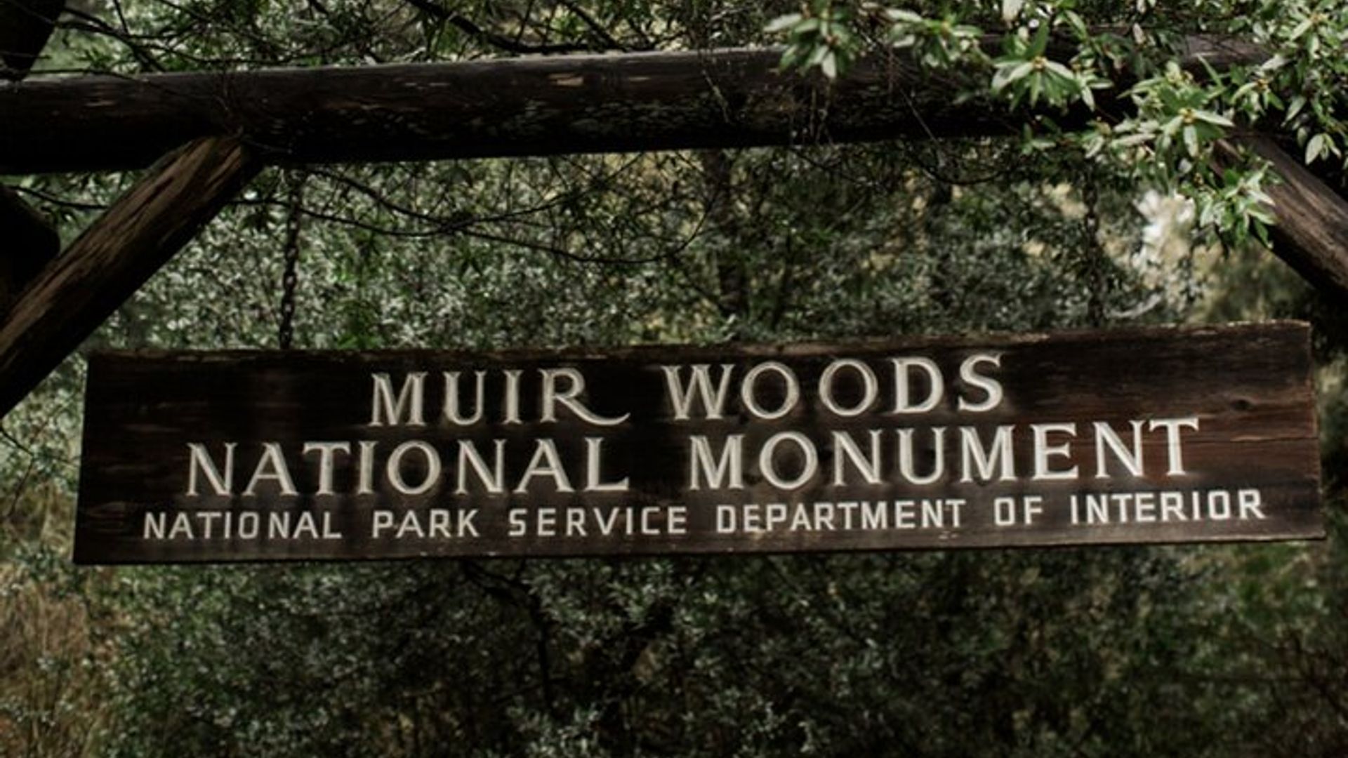 San Francisco Alcatraz Island and Guided Muir Woods Tour image 3