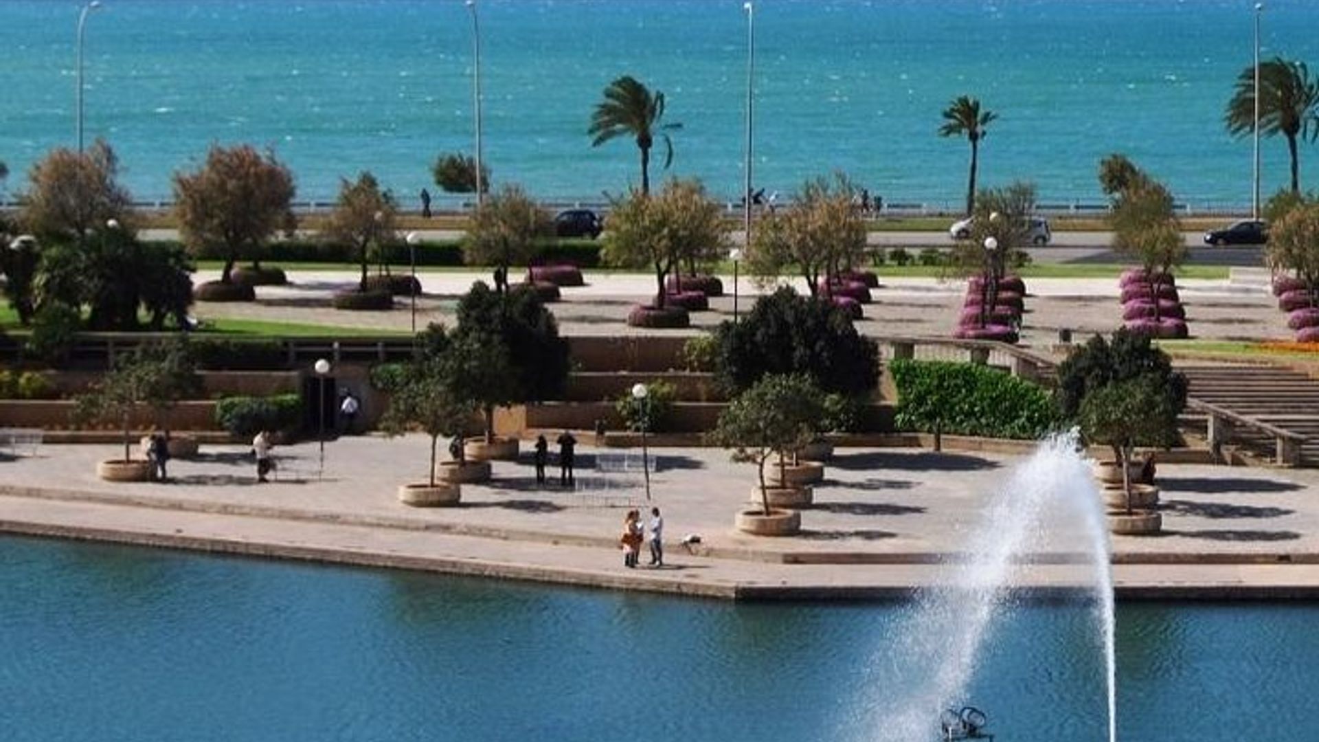 Tour Guidato di Palma di Maiorca con Prelievo dall'Hotel