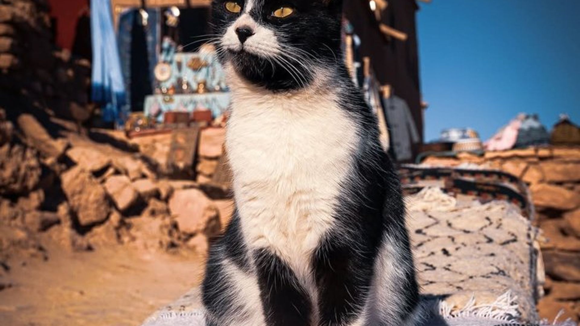 Private Ait Ben Haddou & Atlas Mountains Day Trip from Marrakech