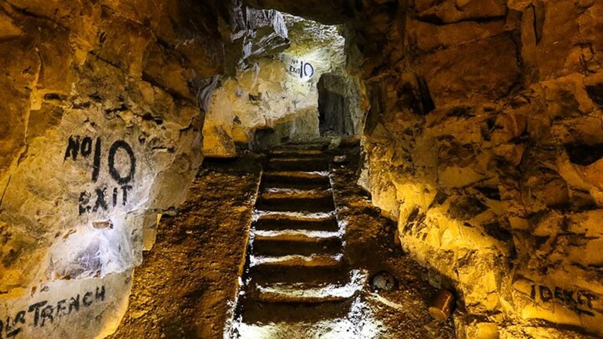 Visite privée d'une journée complète des champs de bataille néo-zélandais au départ d'Arras