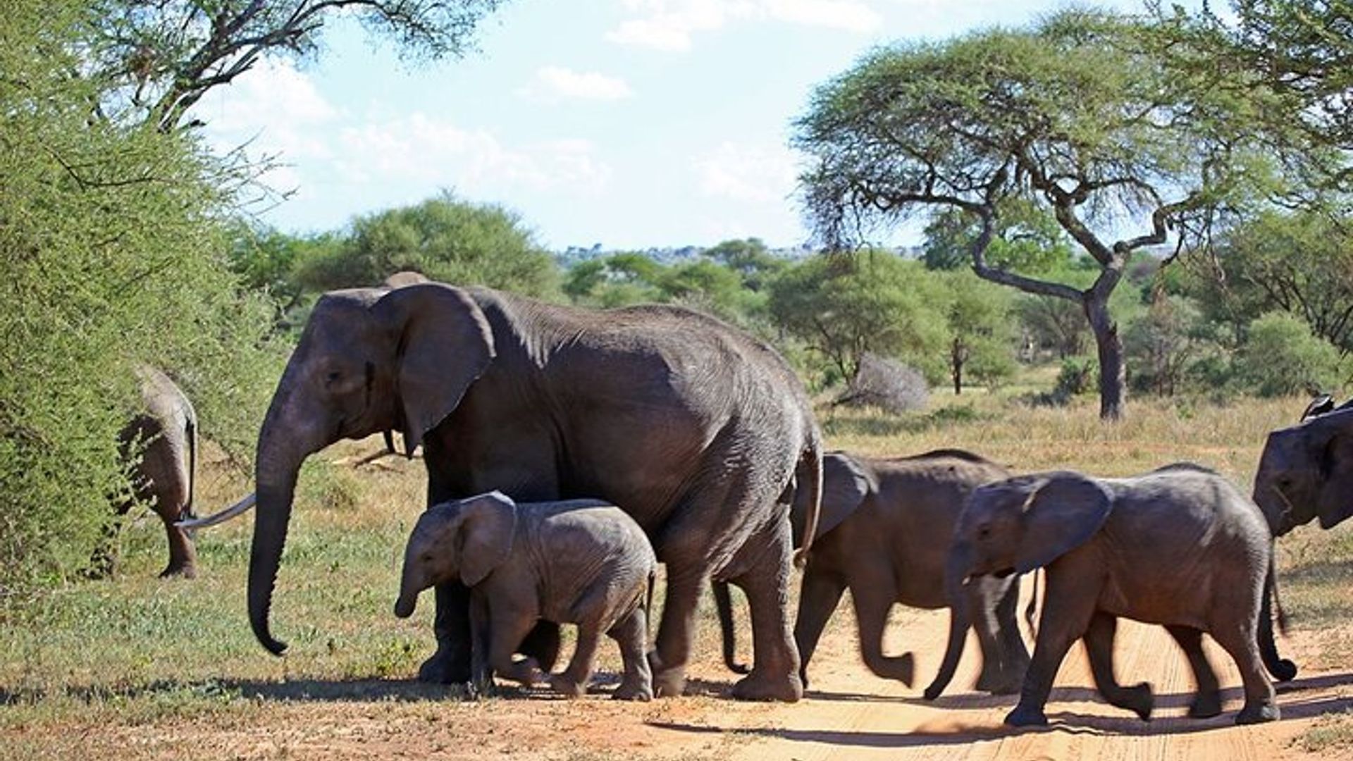 6 Tage Gartenroute Kleingruppentour Fr CapeTown - Abfahrten jeden Tag