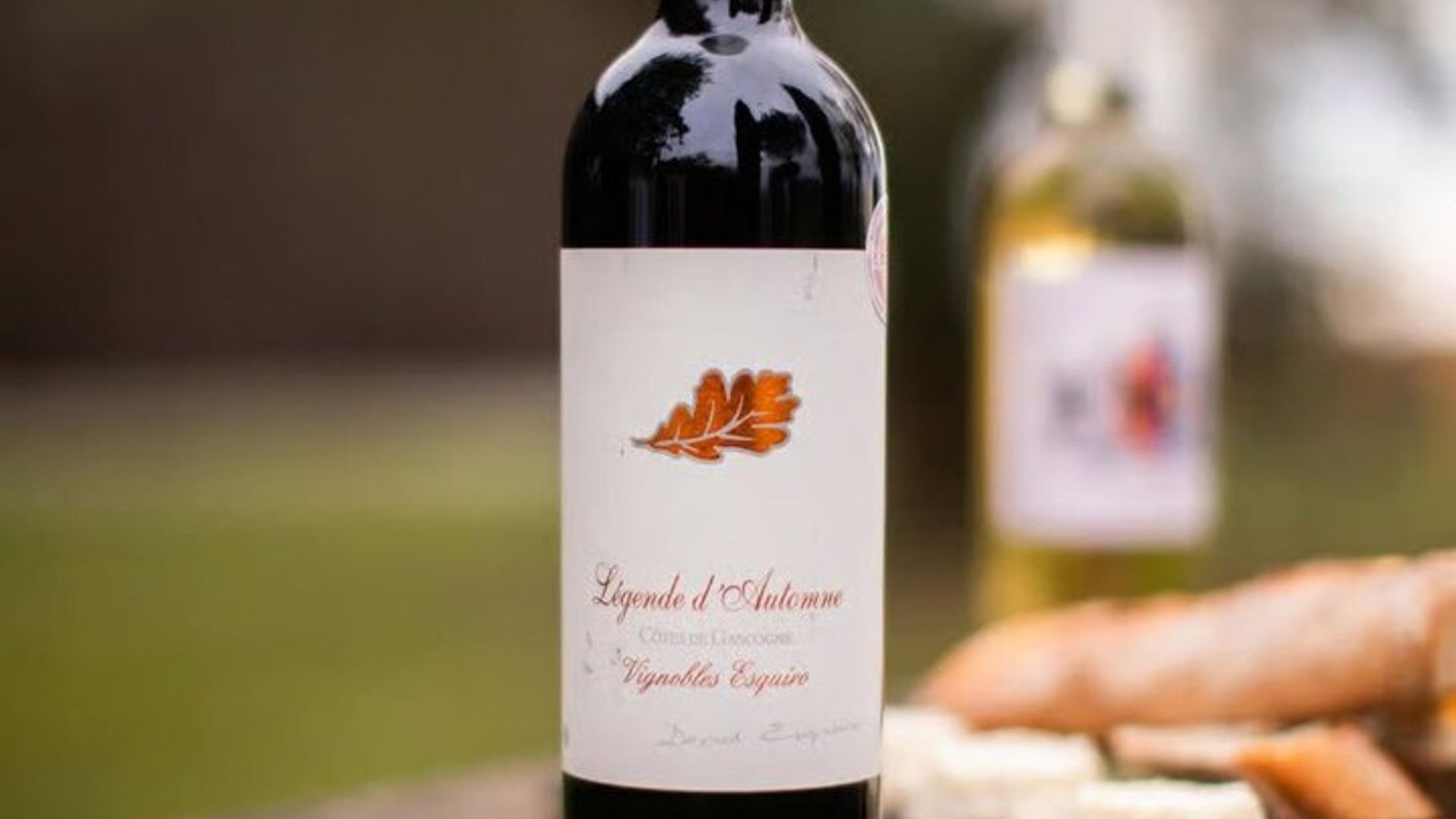 Domaine de la Higuère: Visita, cata y maridaje de comida y vino