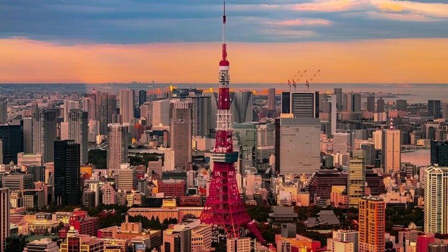 Tokyo Private and Customizable Car Tour with Hotel Pickup
