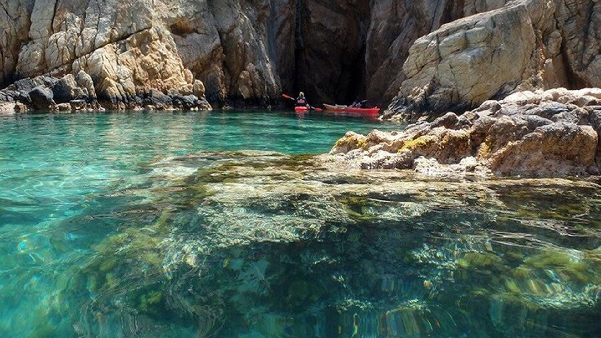 Tour di un giorno in kayak e snorkeling nella Costa Brava da Barcellona