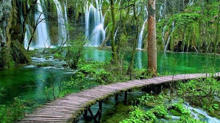 Plitvice Lakes National Park Day Trip with Entry Ticket from Zadar