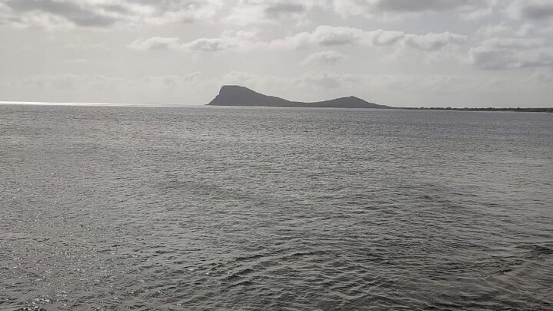 Aventura en la isla y experiencia con tiburones desde Santa María