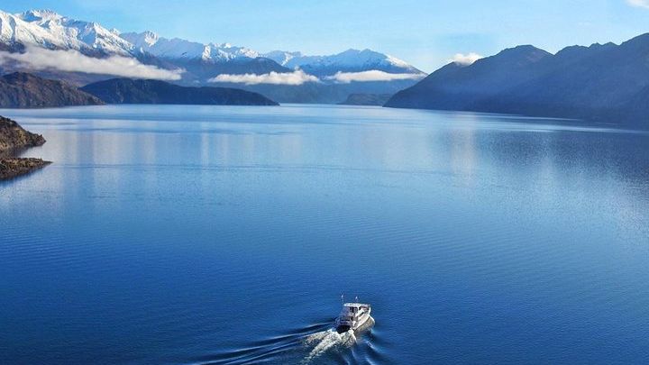 Stevensons Island Afternoon Cruise and Nature Walk from Wanaka