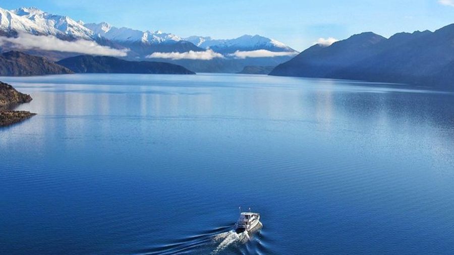 Stevensons Island Afternoon Cruise and Nature Walk from Wanaka