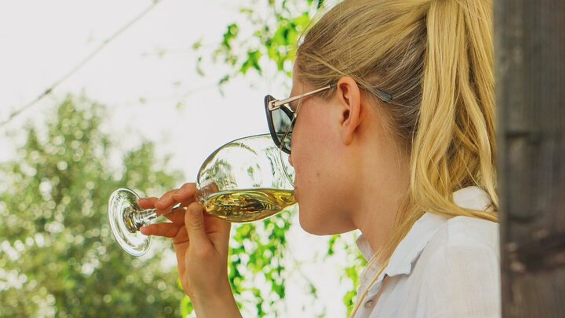 Albufeira Wine Tour: 2 Vineyards, 6 Tastings & Historic Silves