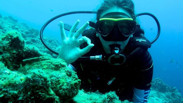 Open Water Diver Course at Blue Bay Dive in Curacao