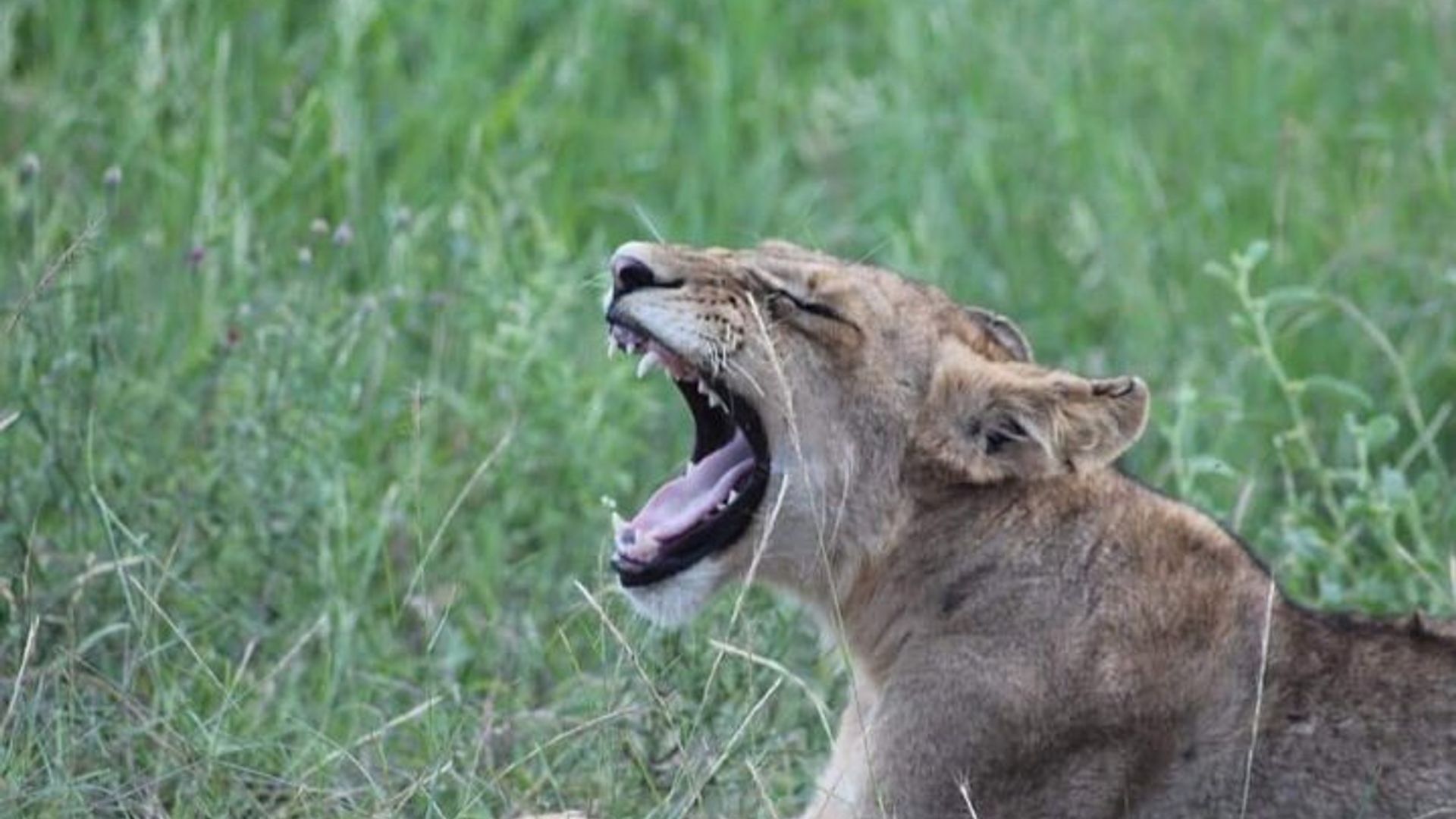 6-Day Private Tour, the Best of Johannesburg