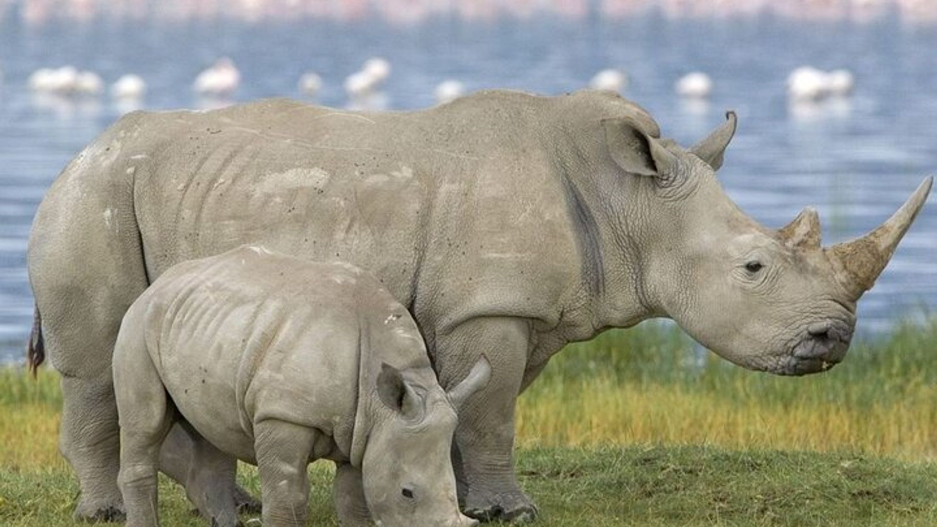 Garden Route 5 Day Small Group Tour from Cape Town Starts Any Day