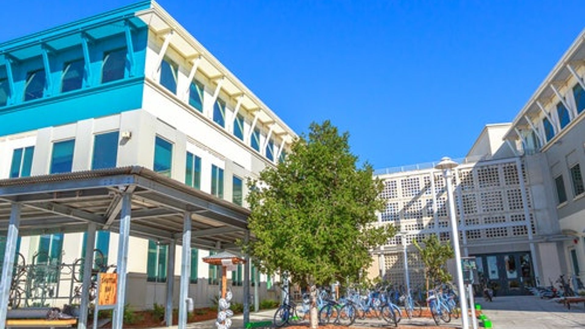 From San Francisco: Computer History Museum and Silicon Valley Campus Tour image 2
