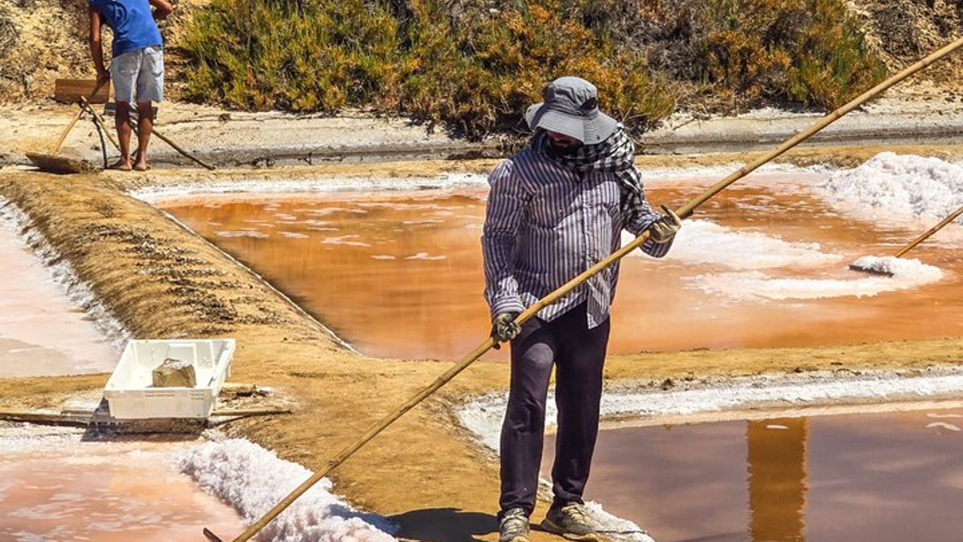Tavira Roots : Salt Pans, Octopus, Tuna Heritage Wine & Tapas