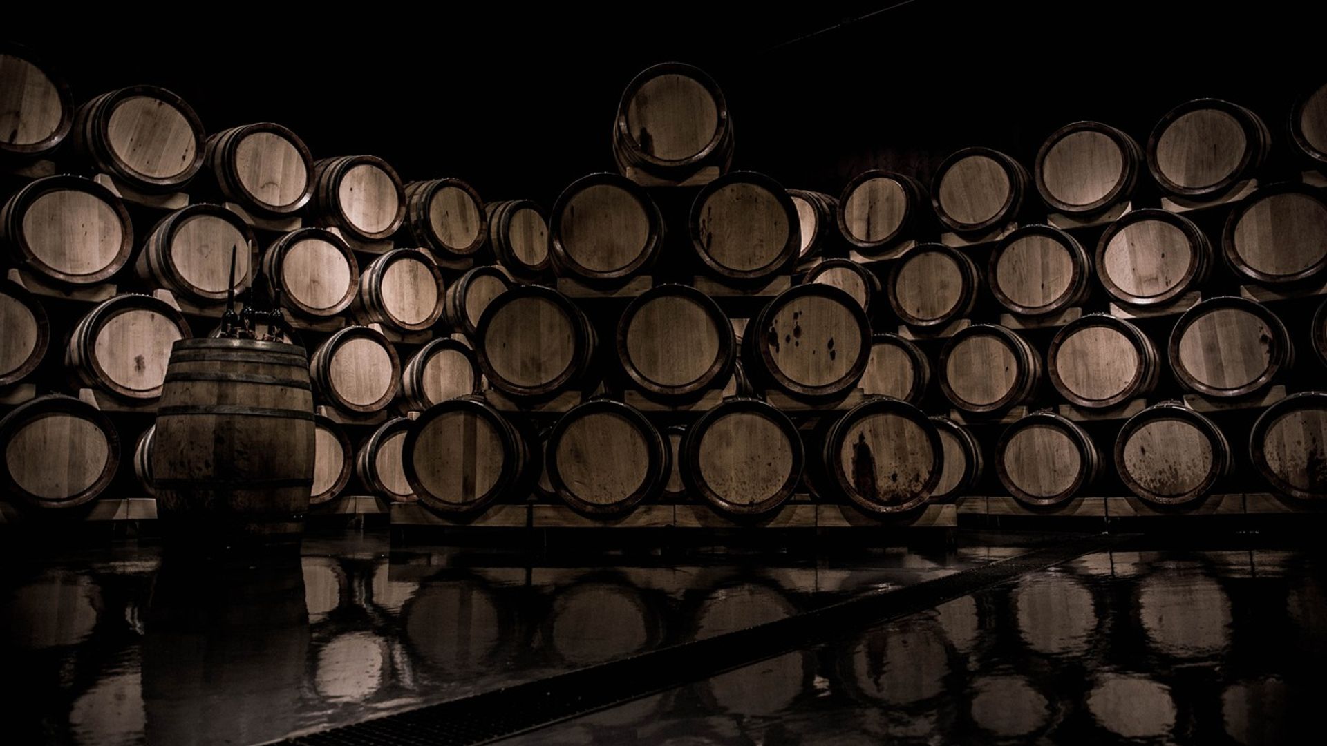 Wine Tasting in Napa Valley: Private Excursion image 1