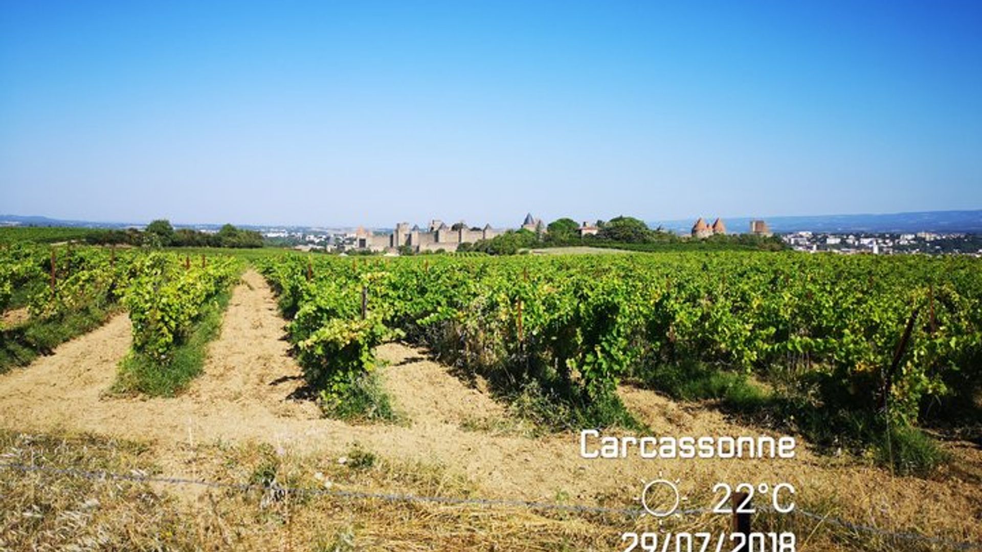 Private Shore Excursion to Narbonne and Carcassonne from Sète