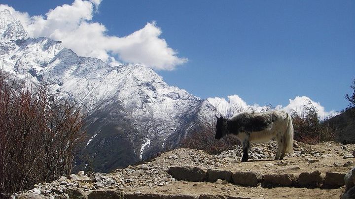 Private 19-Day Trek: Everest, Cho La Pass, and Gokyo Lakes
