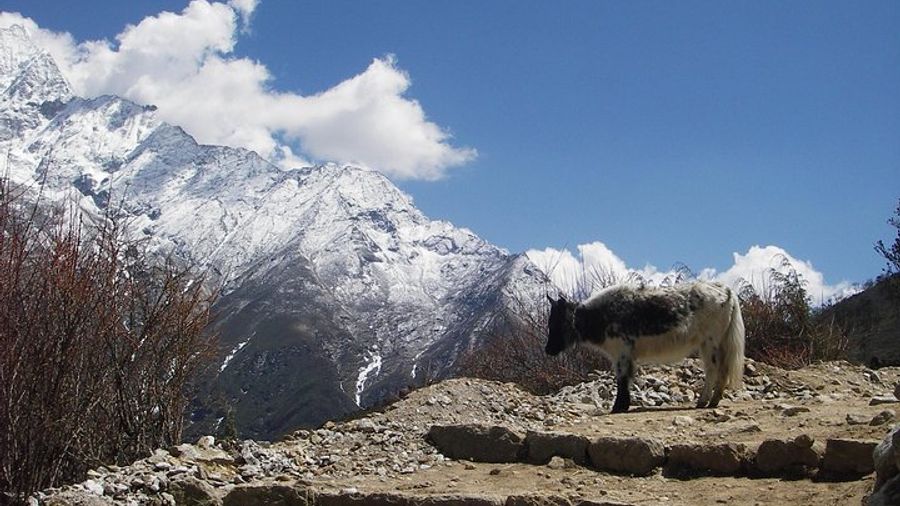 Private 19-Day Trek: Everest, Cho La Pass, and Gokyo Lakes