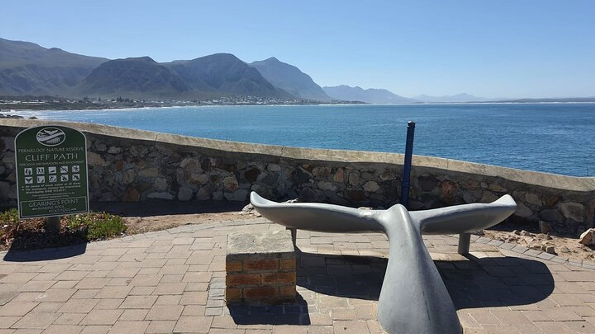 Hermanus Whale Watching Shared Boat Trip & Penguins Private Tour