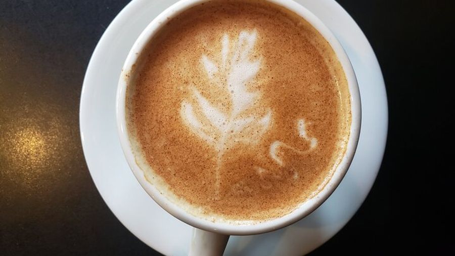 Seattle Coffee Tour of Capitol Hill with 3 Samples Included