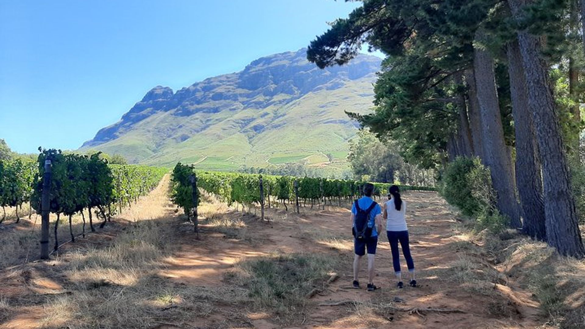 Private Führung durch die Cape Winelands ab Kapstadt