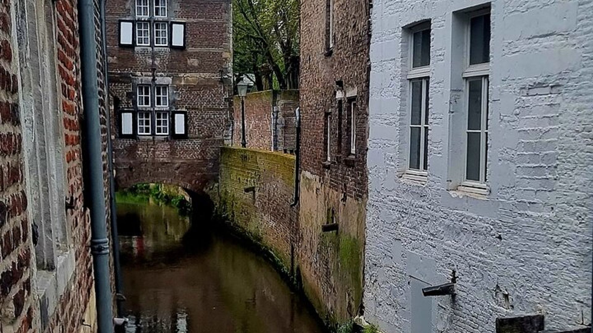 Maastricht Small-Group Guided Interactive Walking Tour