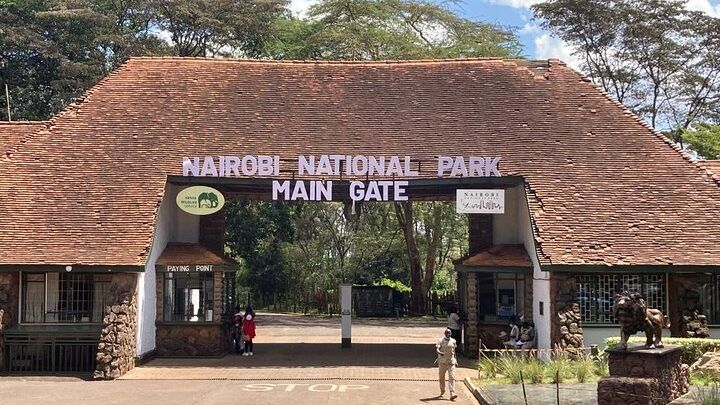 Nairobi National Park Tour Half Day