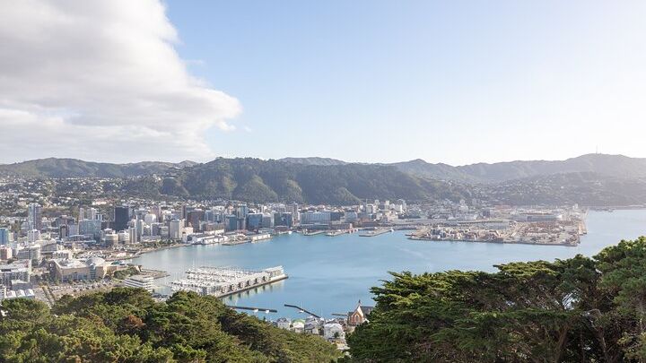 Wellington Half-Day Guided Small-Group Tour With Cable Car