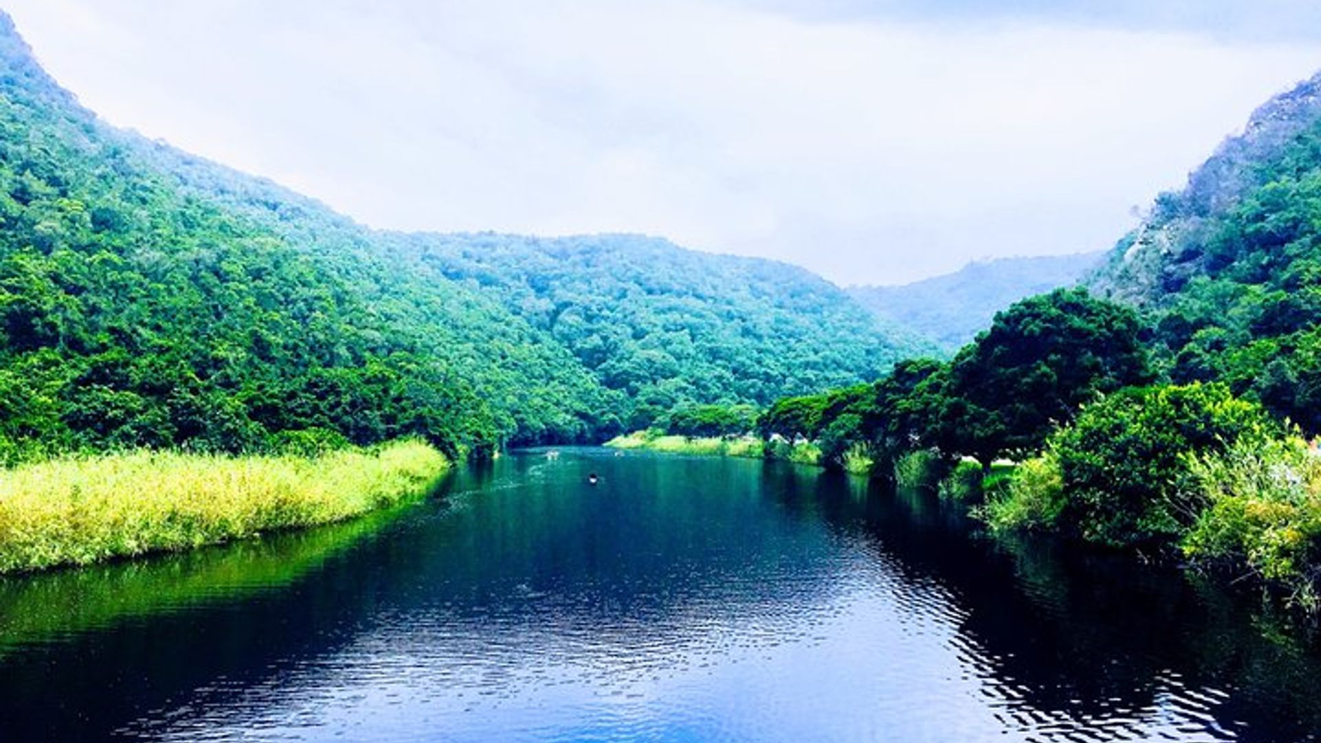 Garden Route Explorer : Viaje panorámico de 5 días