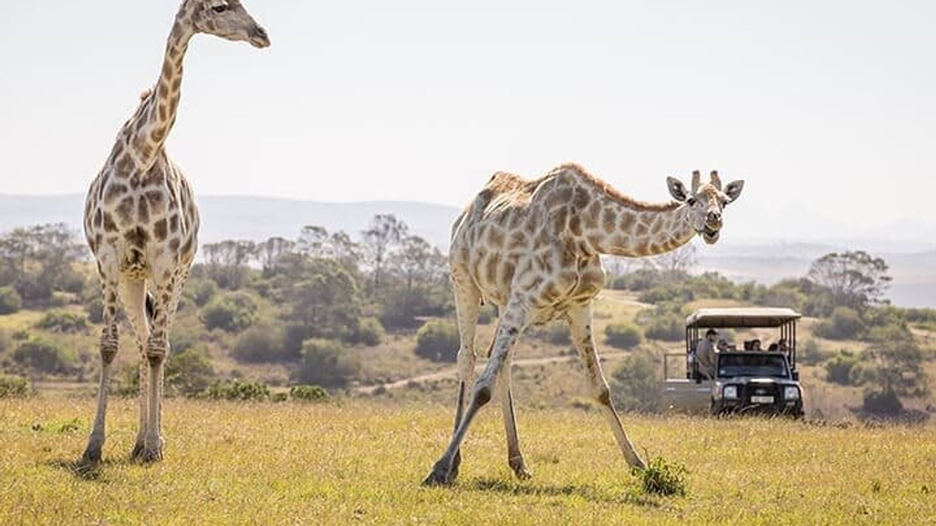 Visite privée de 3 jours et 2 nuits de la Garden Route au départ du Cap