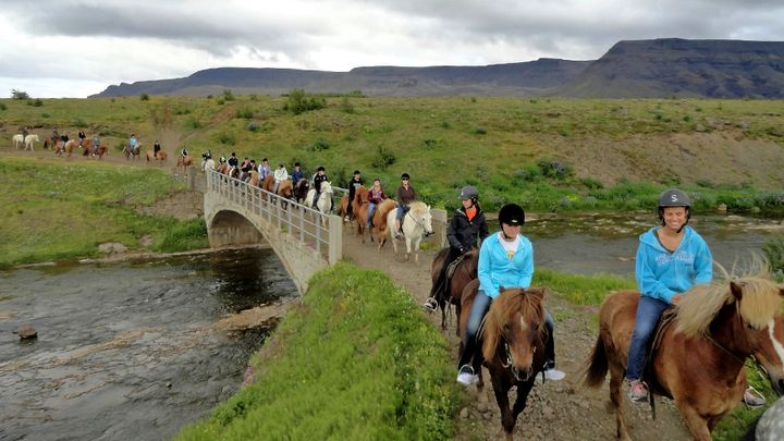 Silfra Snorkeling - with underwater photos & Horseback riding