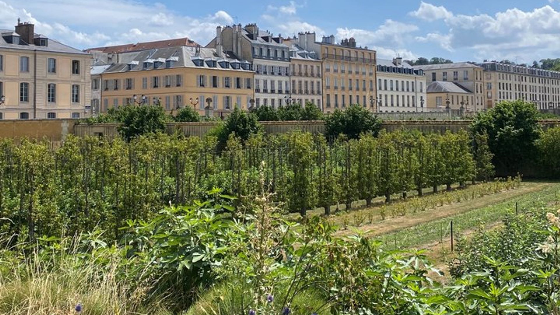 Versailles: Off the Beaten Track Tour with a Local Guide