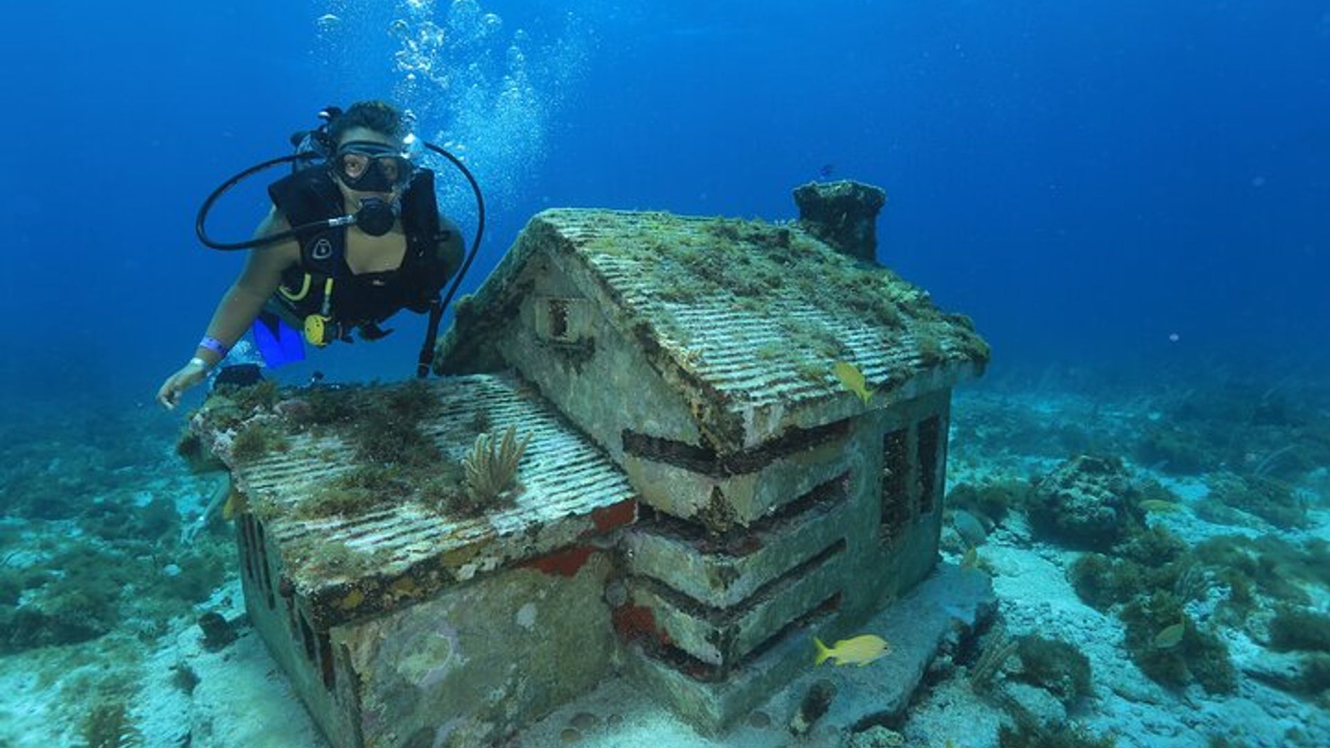 A full-day, small-group scuba diving lesson and tour image 2