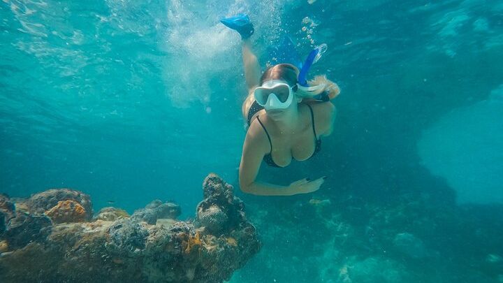Private Half Day Luxury Snorkeling Charter