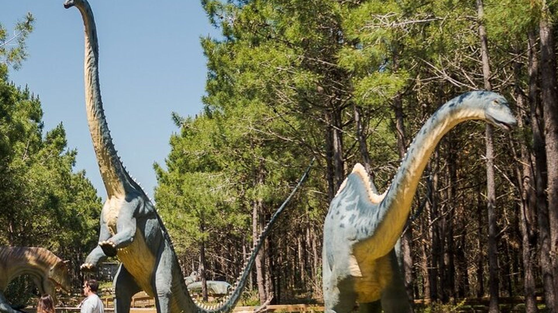 Lisbon: Dinosaur Park Tour With Private Round-Trip Transport