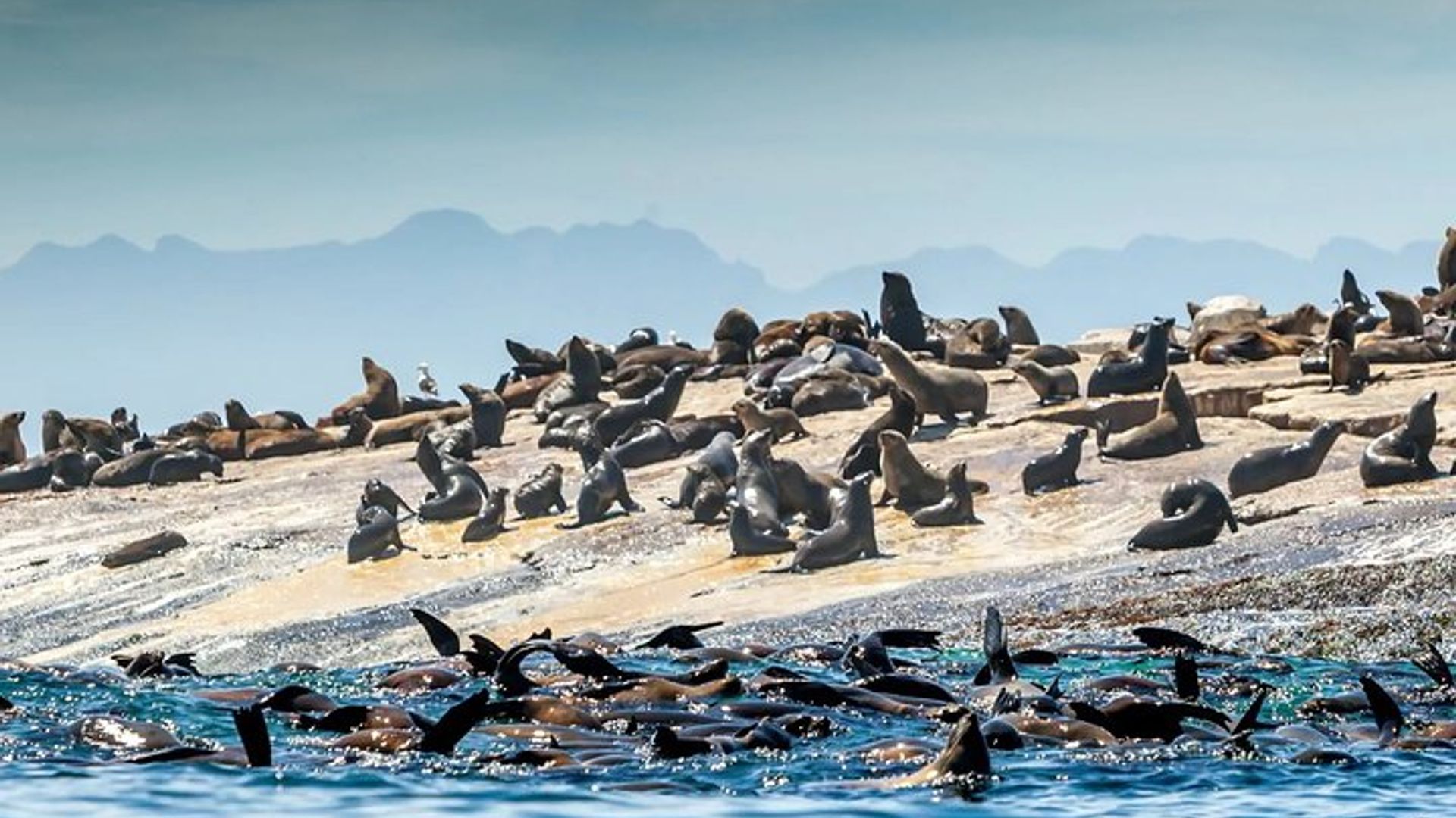 Excursion de quatre jours sur la Garden Route au départ de George, Afrique du Sud