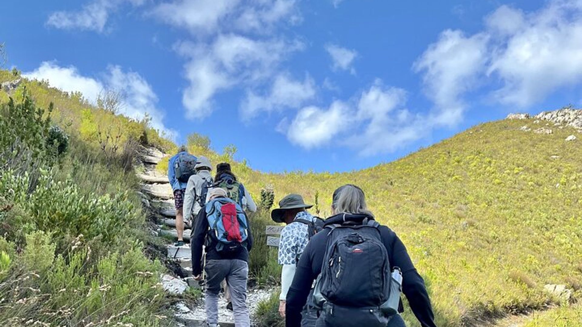 Hermanus Guided Nature Excursions