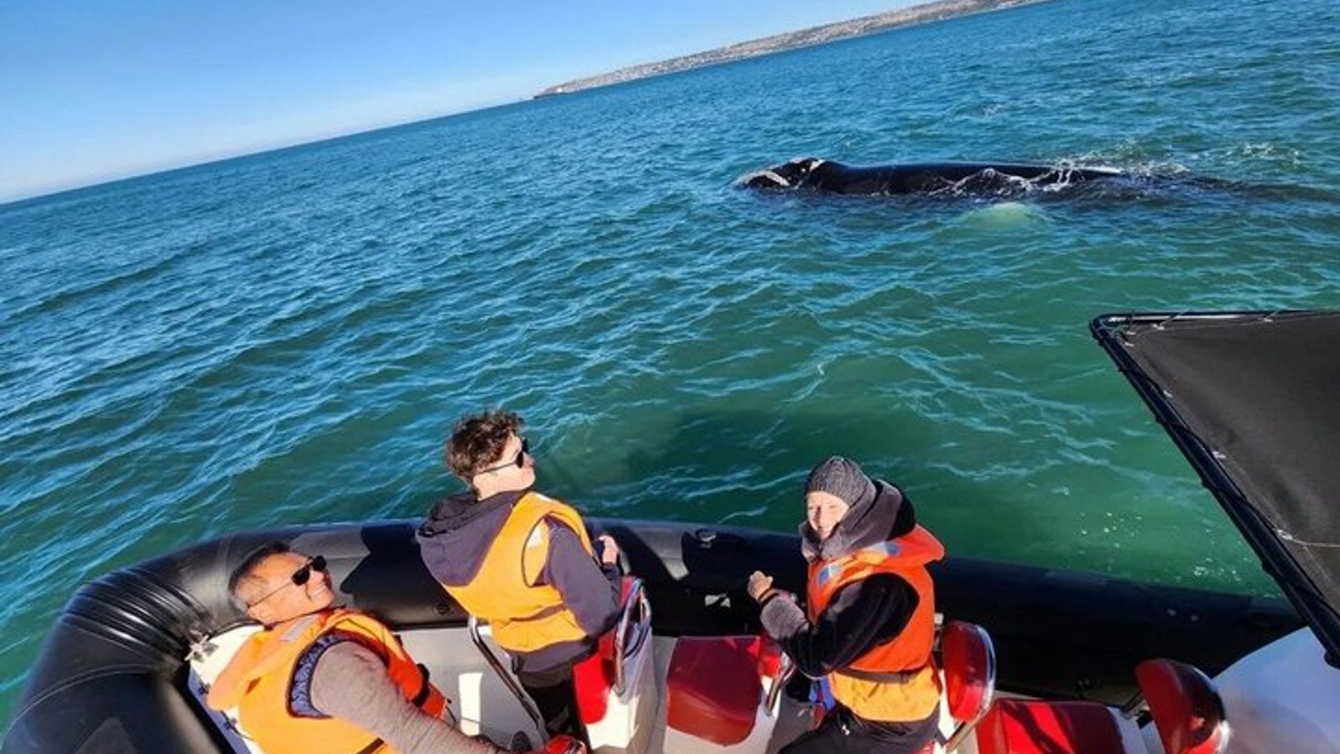 Tours de avistamiento de ballenas en Mossel Bay