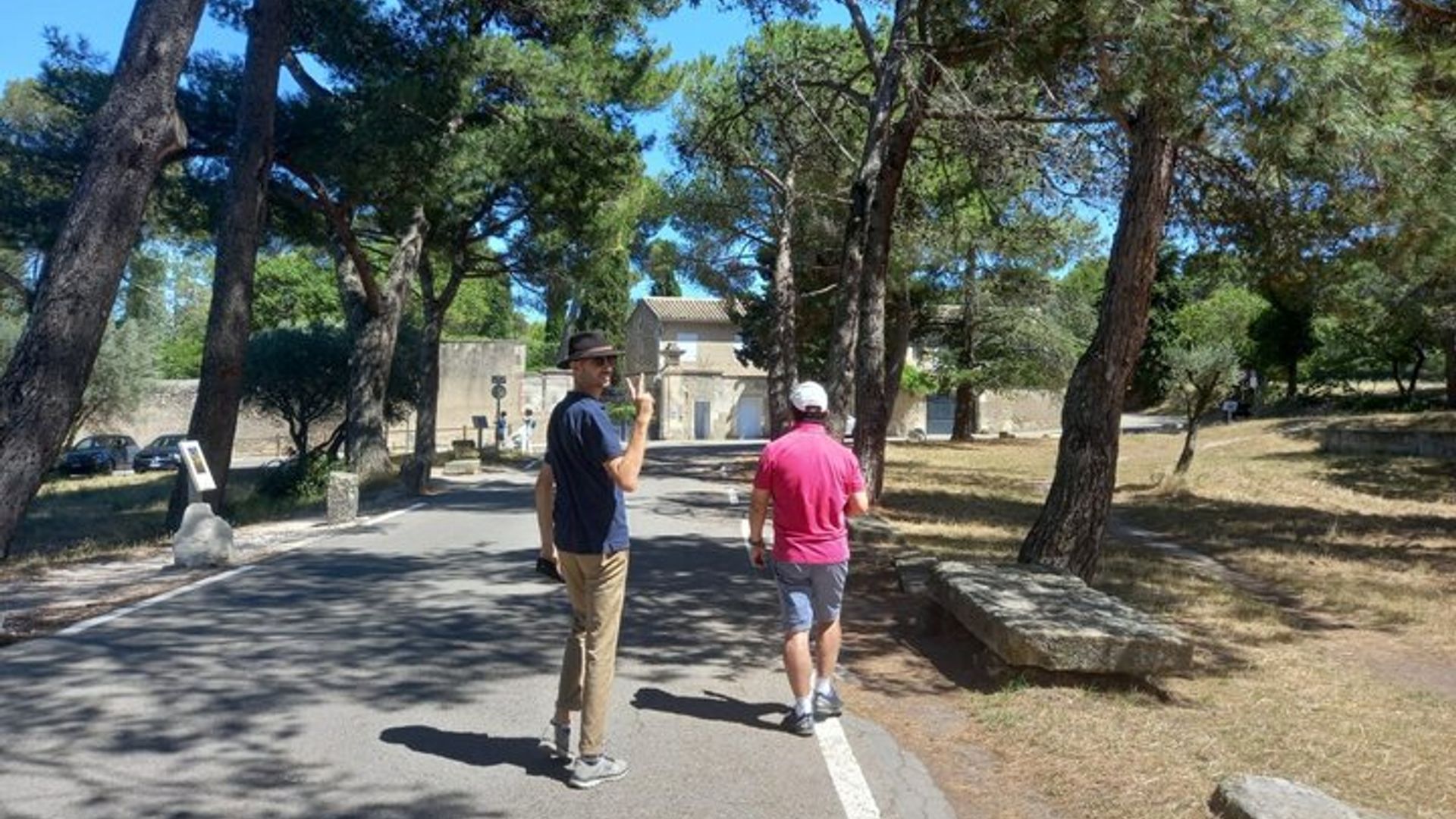 Provence and Arles Small-Group Van Gogh Tour From Avignon