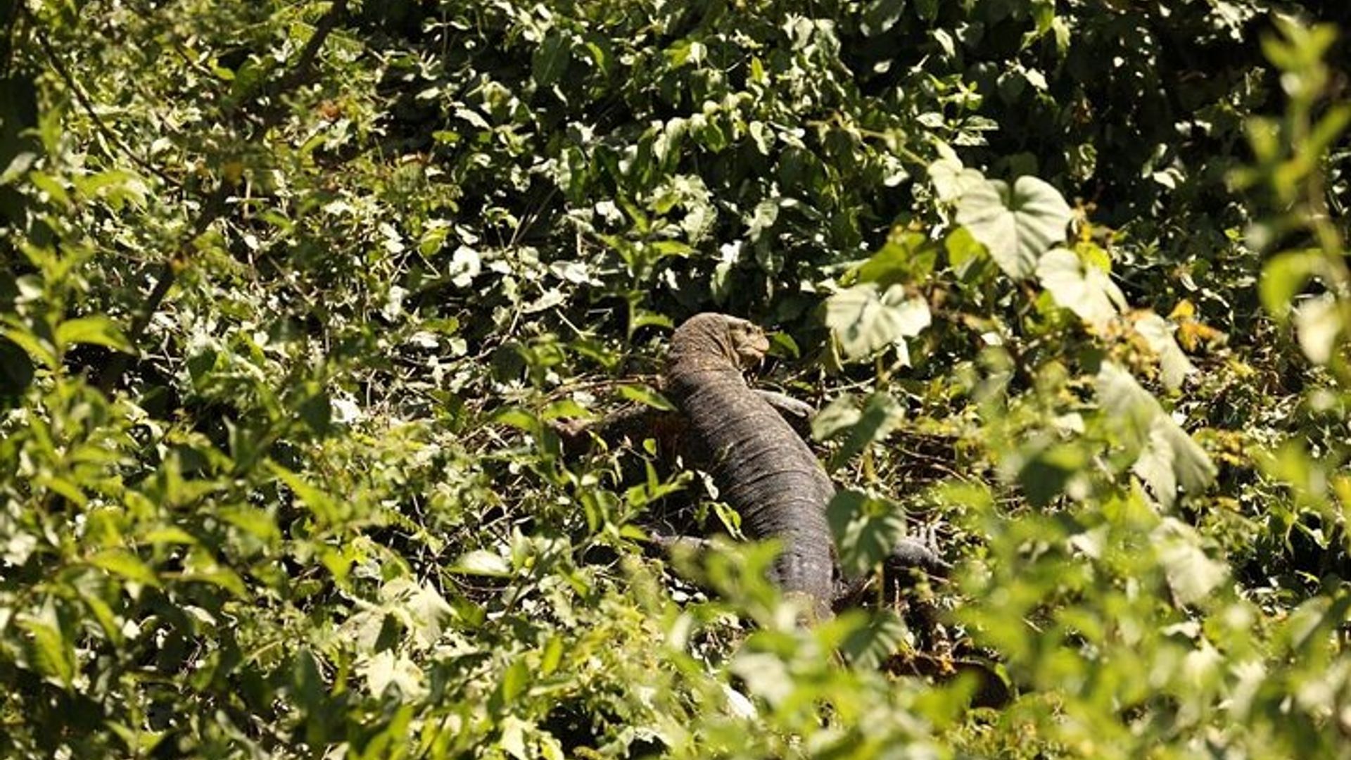 1 Day Jinja and Source of the Nile River Tour