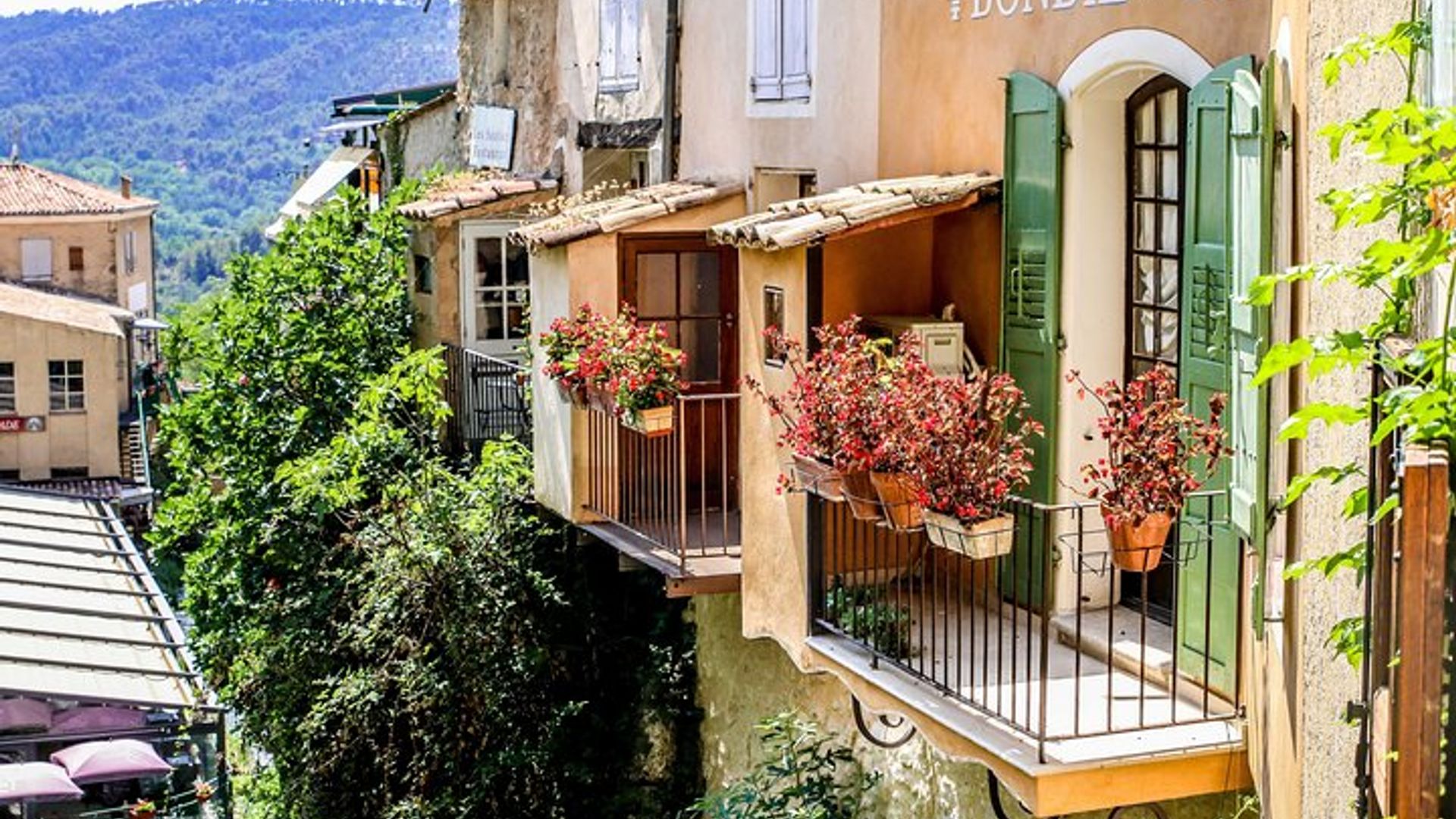 Excursion privée d'une journée aux champs de lavande de Provence