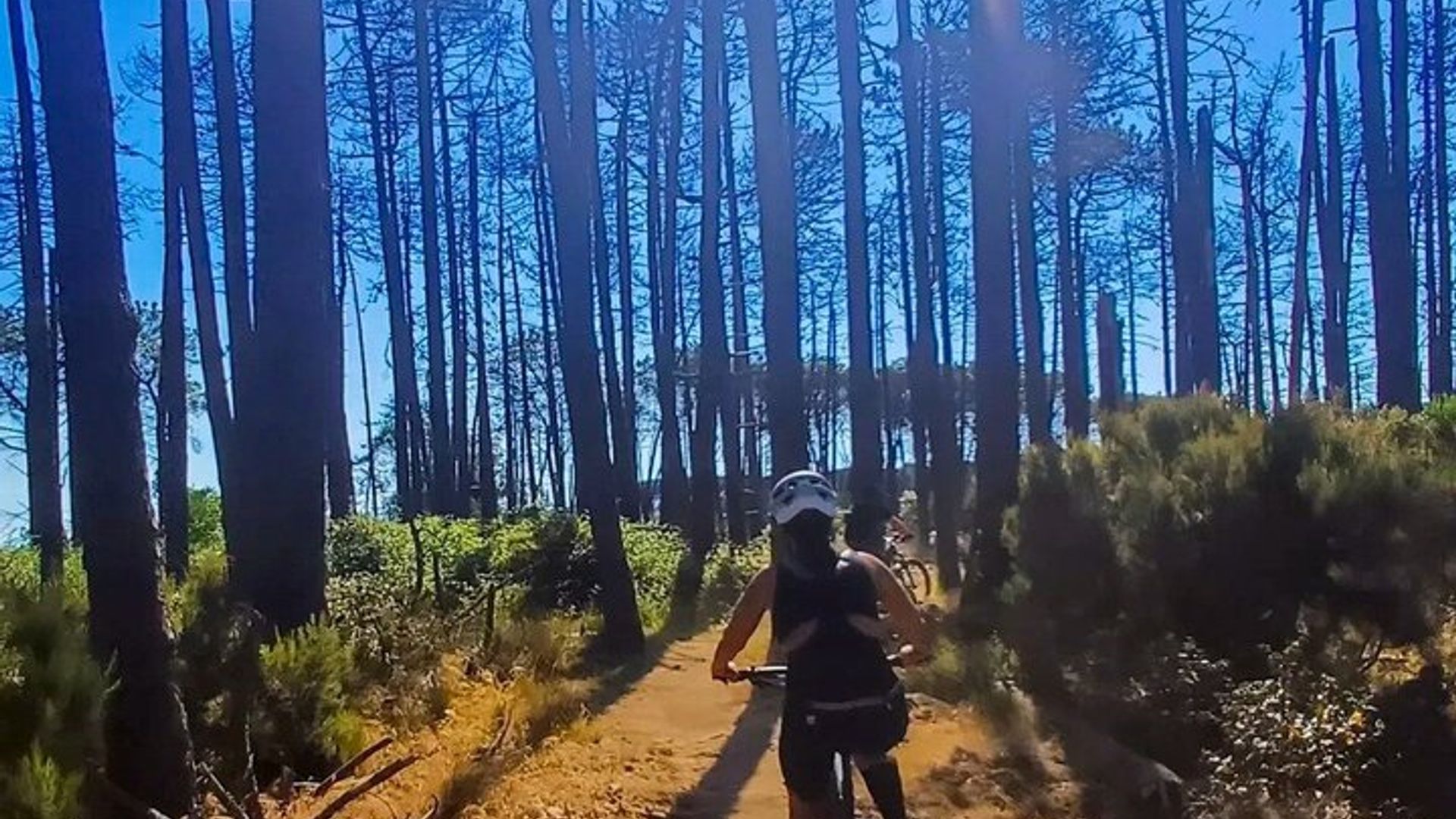 Excursion en vélo électrique avec dégustation de vins à Tenuta delle Ripalte