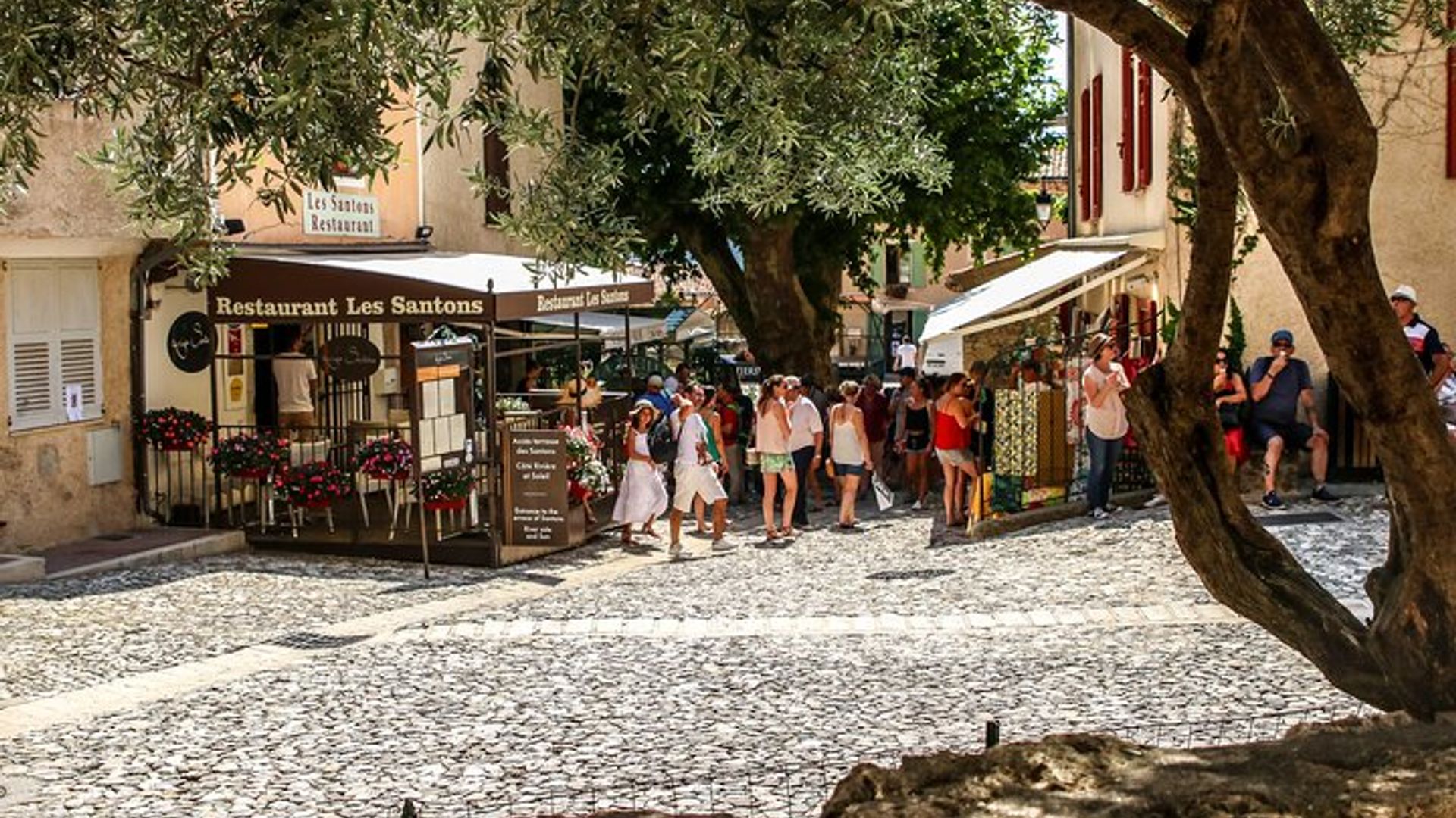 Excursion privée d'une journée aux champs de lavande de Provence