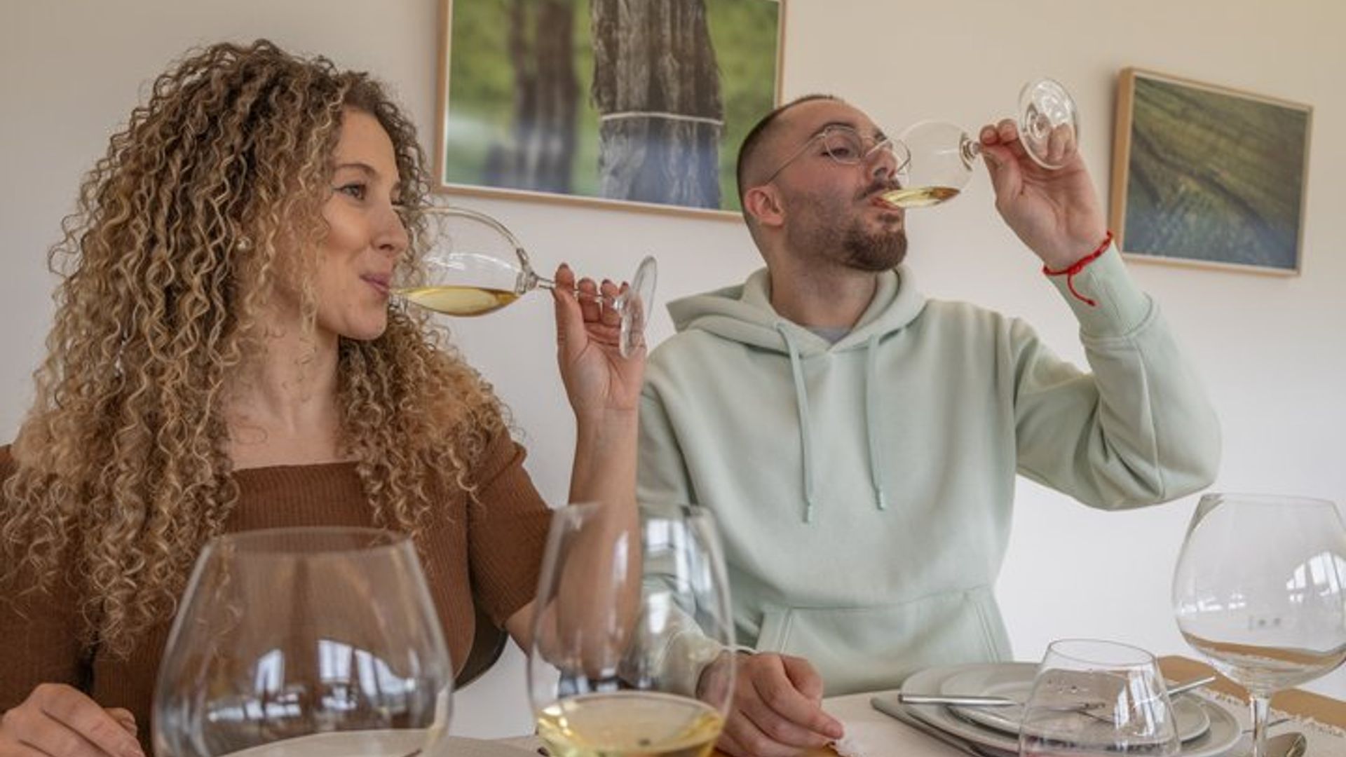 Visite privée du vin vert: Visite de 2 domaines viticoles avec déjeuner inclus