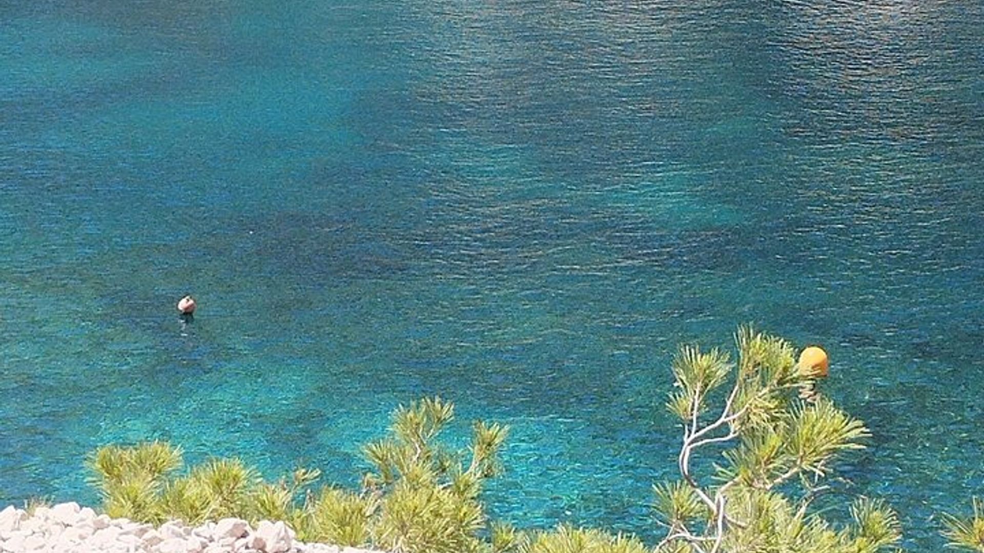 Guided hike in the Calanques National Park