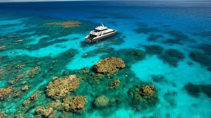 Half-Day Outer Reef Snorkelling Tour