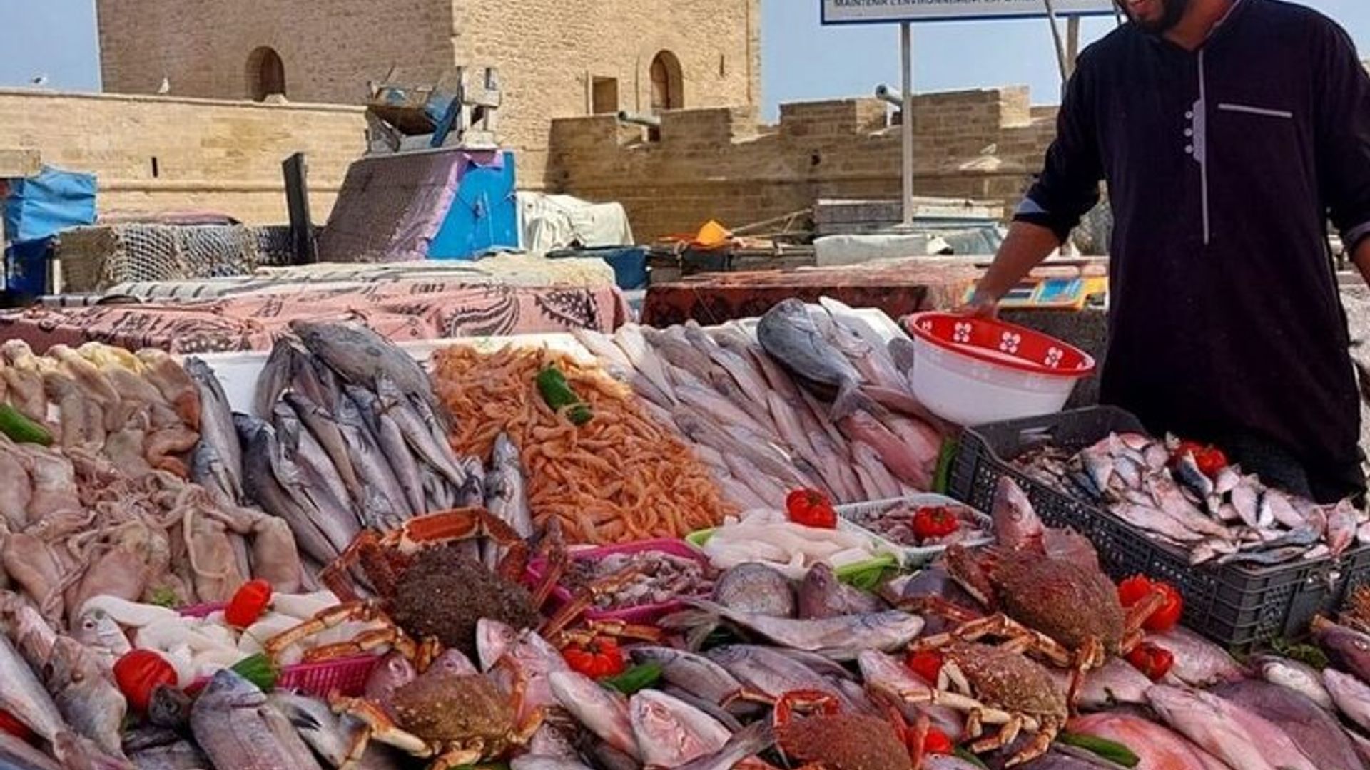 Petit Port De Pêche D'essaouira