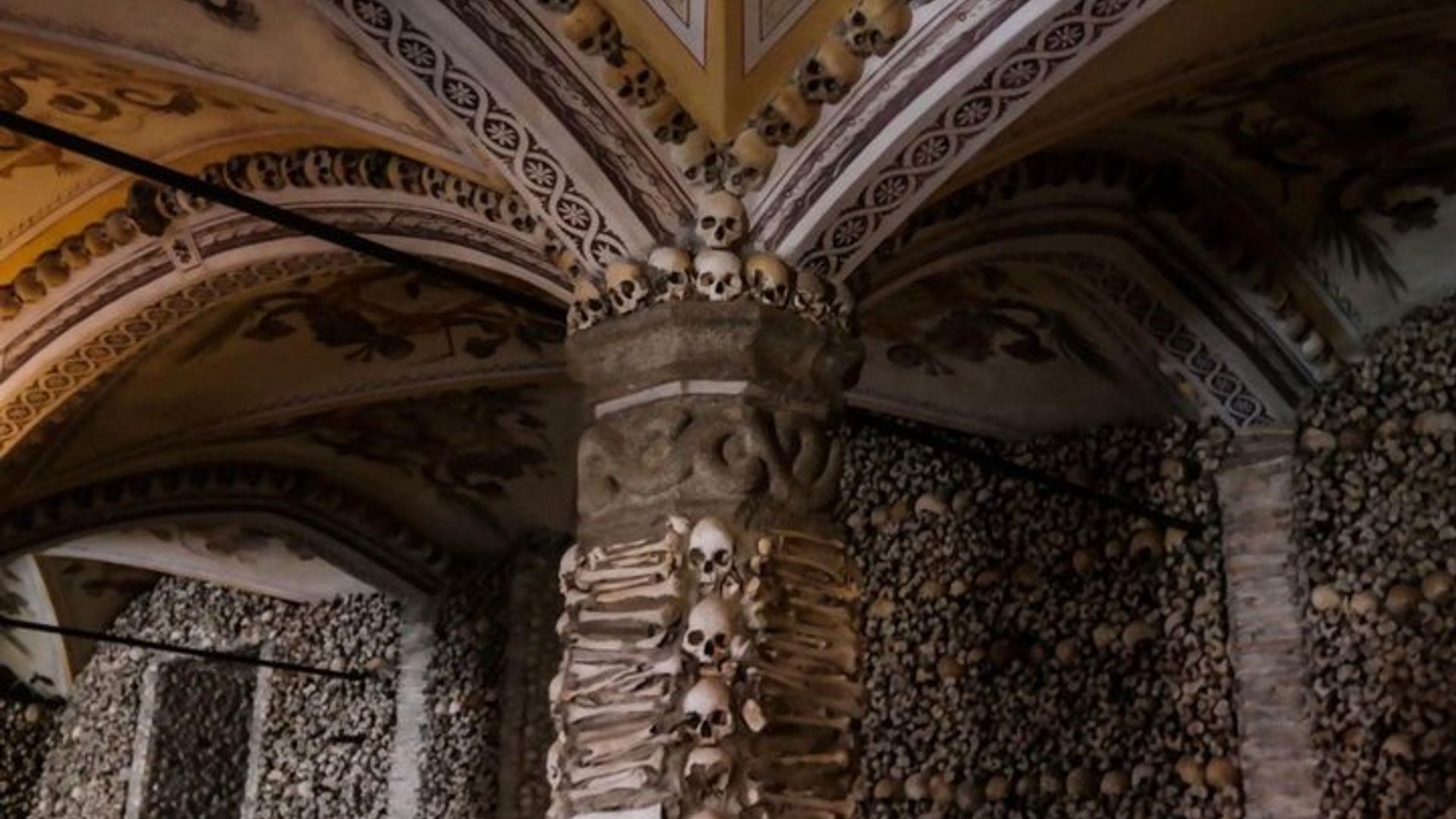 Visite privée de l'Alentejo avec expérience du vin